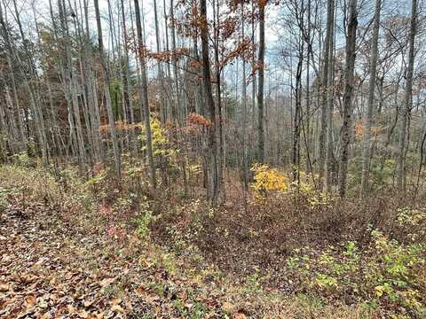 Lot 20 Hamilton Road, Blairsville, GA 30512