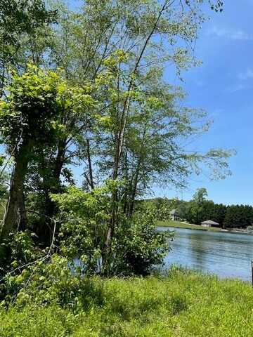 Lot 3a Tranquil Pointe, Hiawassee, GA 30546