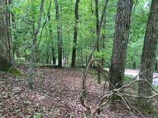 Lot 1667 Fugue Drive, Ellijay, GA 30540