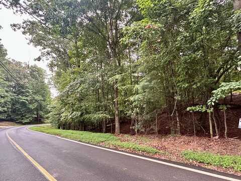 Lot 3540 Newport Drive, Ellijay, GA 30540