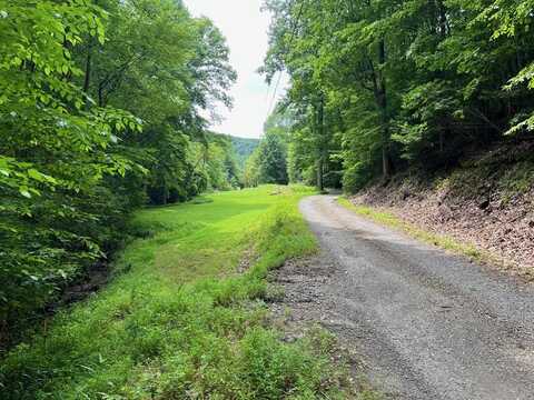 33.4 Ac Caldwell Road, Brasstown, NC 28902