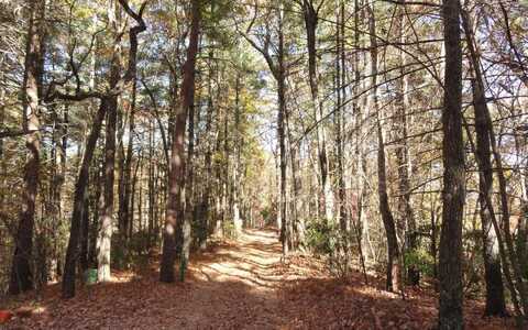 Lot B Cindy Cove, Blairsville, GA 30512