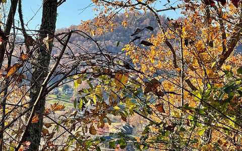 37m Mountain Harbour Drive, Hayesville, NC 28904