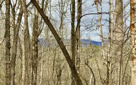 Lt260 Catawba Circle, Ellijay, GA 30540