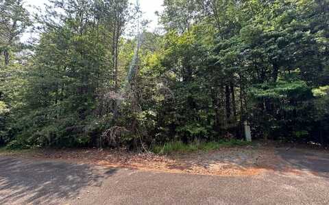 8,13 Ovaline Trail, Ellijay, GA 30536