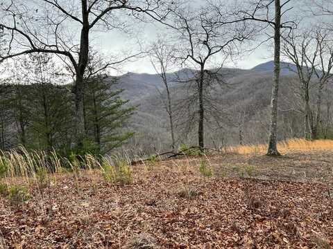 Lot 137 Shiloh, Hayesville, NC 28904