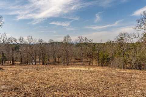 Lot 7 Arbor Creek Trail, Mineral Bluff, GA 30559