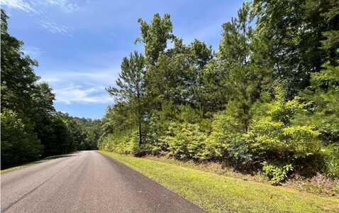 Lt166 Harris Creek Drive, Ellijay, GA 30540