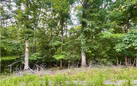 Lot Maize Court, Ellijay, GA 30540