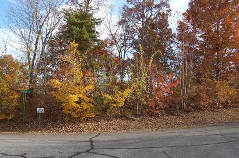 Lot 41 Dan Knob, Hayesville, NC 28904