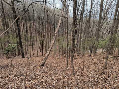 M99 Sleepy Hollow Road, Ellijay, GA 30536