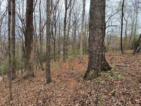 M99 Sleepy Hollow Road, Ellijay, GA 30536