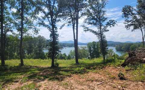 11 Quiet Waters Drive, Hayesville, NC 28904