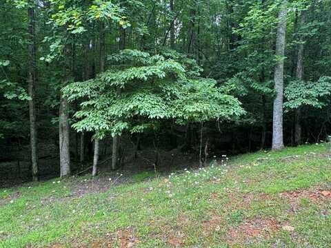 Lot 1721 Newport Drive, Ellijay, GA 30540