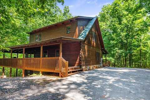 140 Bison Trail, Mineral Bluff, GA 30559