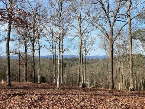 undefined, Mineral Bluff, GA 30559