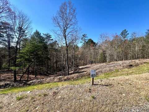 Lot 40 Mountain Laurel Ridge, Mineral Bluff, GA 30559