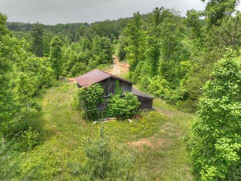 Lot 1 Hidden Acres, Blue Ridge, GA 30513