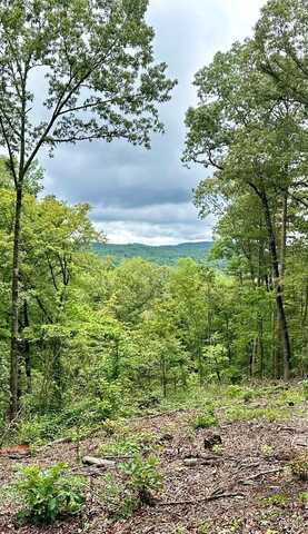 Lot 314 Pebble Trace, Talking Rock, GA 30175