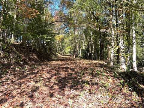 1.87 Ac Hwy 180 And 348, Blairsville, GA 30512