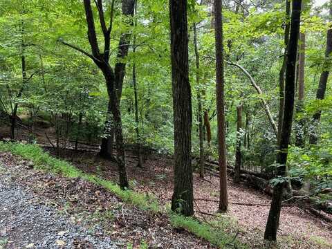 Summit Ln356,357,358, Ellijay, GA 30540