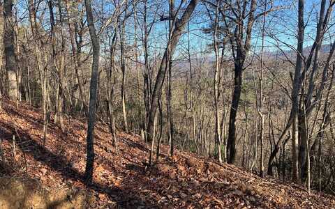 Lot25 Laurel Mountain Drive, Brasstown, NC 28902