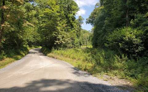 Bushy Head Road, Cherry Log, GA 30522