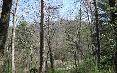 Lot12 Tusquittee Laurel Cove, Hayesville, NC 28904