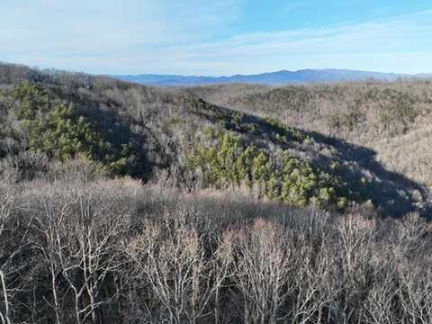 249 Andes Ridge, Ellijay, GA 30536