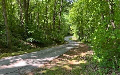 Lot7 Pine Ridge Drive, Warne, NC 28909