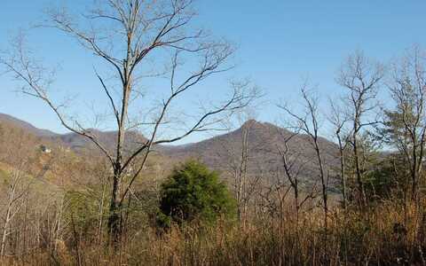 9 Lot 9 Dan Knob, Hayesville, NC 28904