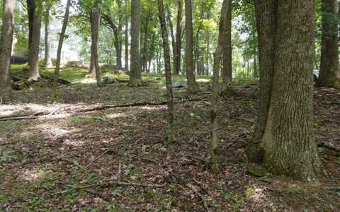 M213 Walnut Ridge, Ellijay, GA 30536