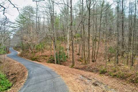 Tr 6 Old Bucktown Road, Ellijay, GA 30536