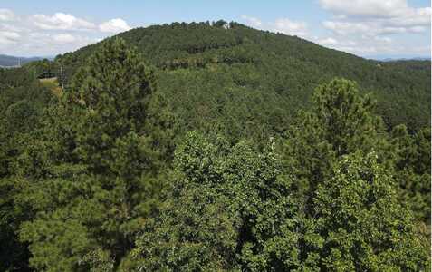 Lt 62 Ridge Peak View, Blairsville, GA 30512