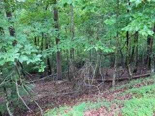 Lot 167 Tara Drive, Ellijay, GA 30540