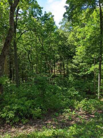 Lot 1&2 Highland Road, Murphy, NC 28906