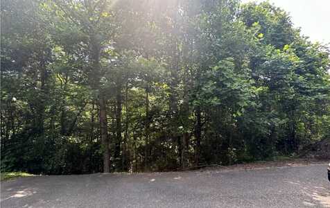 Lot 6 Ovaline Trail, Ellijay, GA 30536