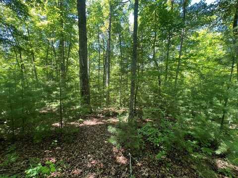 Tbd Paw Paw Trail, Murphy, NC 28906