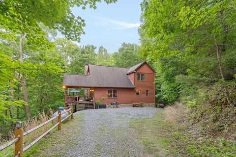 66 Forest Trail, Blue Ridge, GA 50513