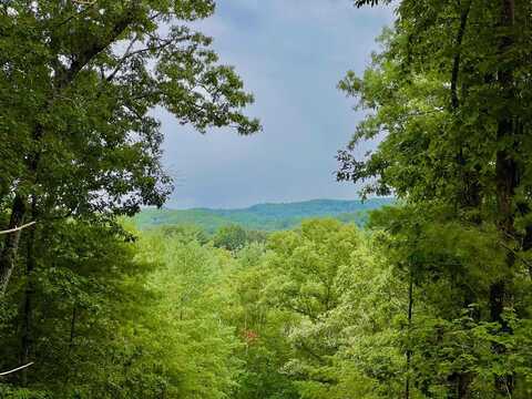 Ridge Drive, Morganton, GA 30560