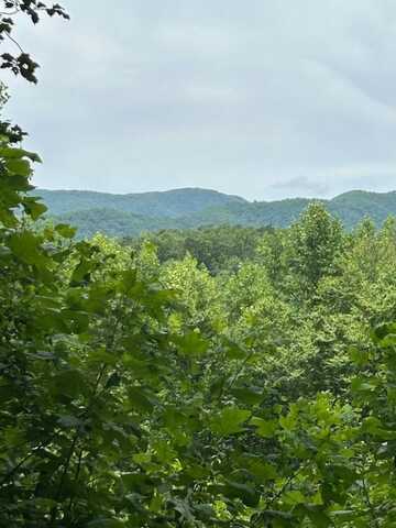 45 Tusquittee Crossing, Hayesville, NC 28904