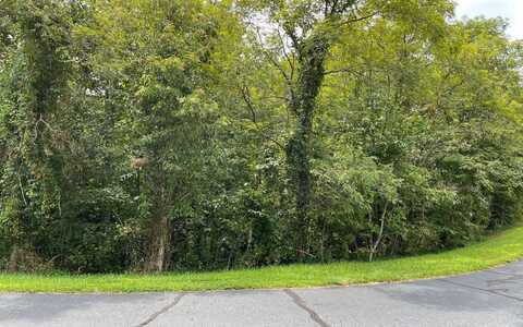 Lt 23 Dan Knob, Hayesville, NC 28904
