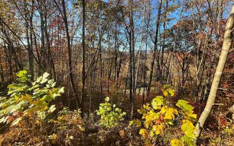 40m Mountain Harbour Drive, Hayesville, NC 28904