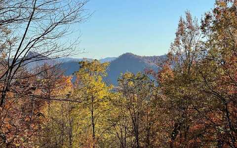 58m Mountain Harbour Drive, Hayesville, NC 28904