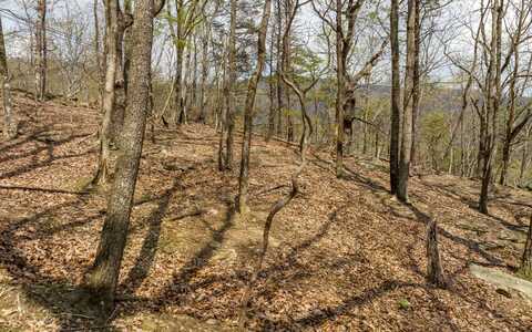 Little Hendricks Mtn, Jasper, GA 30143