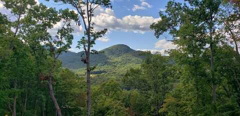 Lt17 Mill Ridge Road, Hiawassee, GA 30546