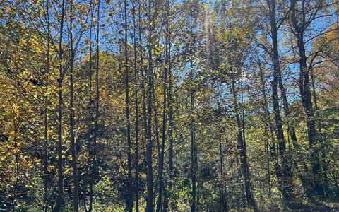 4ac Tusquittee Road, Hayesville, NC 28904