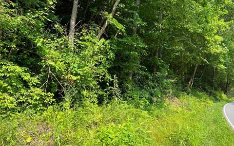 Lot 4 Fires Creek Road, Hayesville, NC 28904