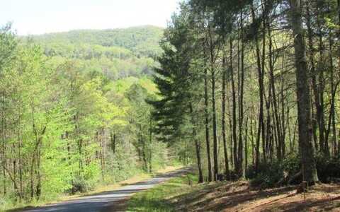 39-40 Shelton Springs Drive, Hayesville, NC 28904