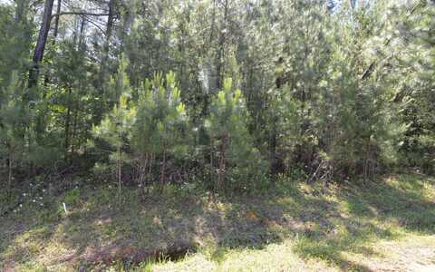 Lot14 Loftis Mountain, Blairsville, GA 30512